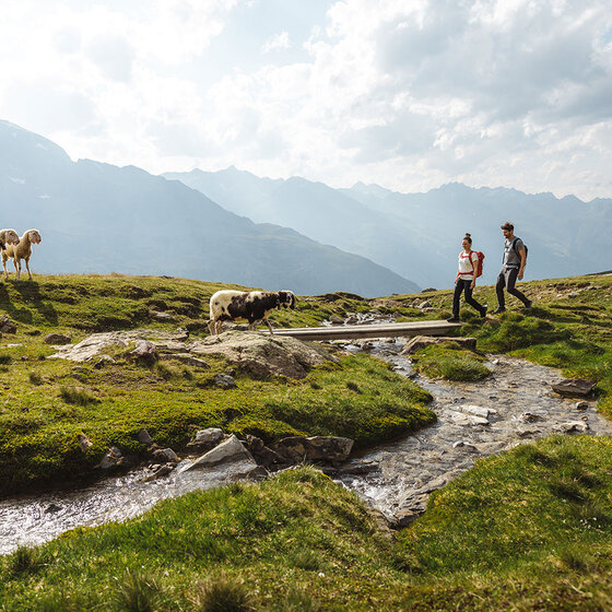 Zwei Personen gehen neben einem kleinen Bach in einer grasbewachsenen Berglandschaft spazieren. In der Nähe grasen Schafe, und in der Ferne erheben sich Berge unter einem teilweise bewölkten Himmel.
