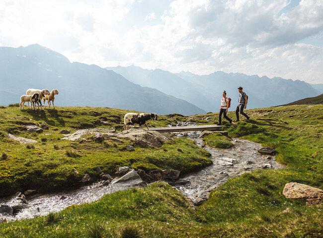 Zwei Personen gehen neben einem kleinen Bach in einer grasbewachsenen Berglandschaft spazieren. In der Nähe grasen Schafe, und in der Ferne erheben sich Berge unter einem teilweise bewölkten Himmel.