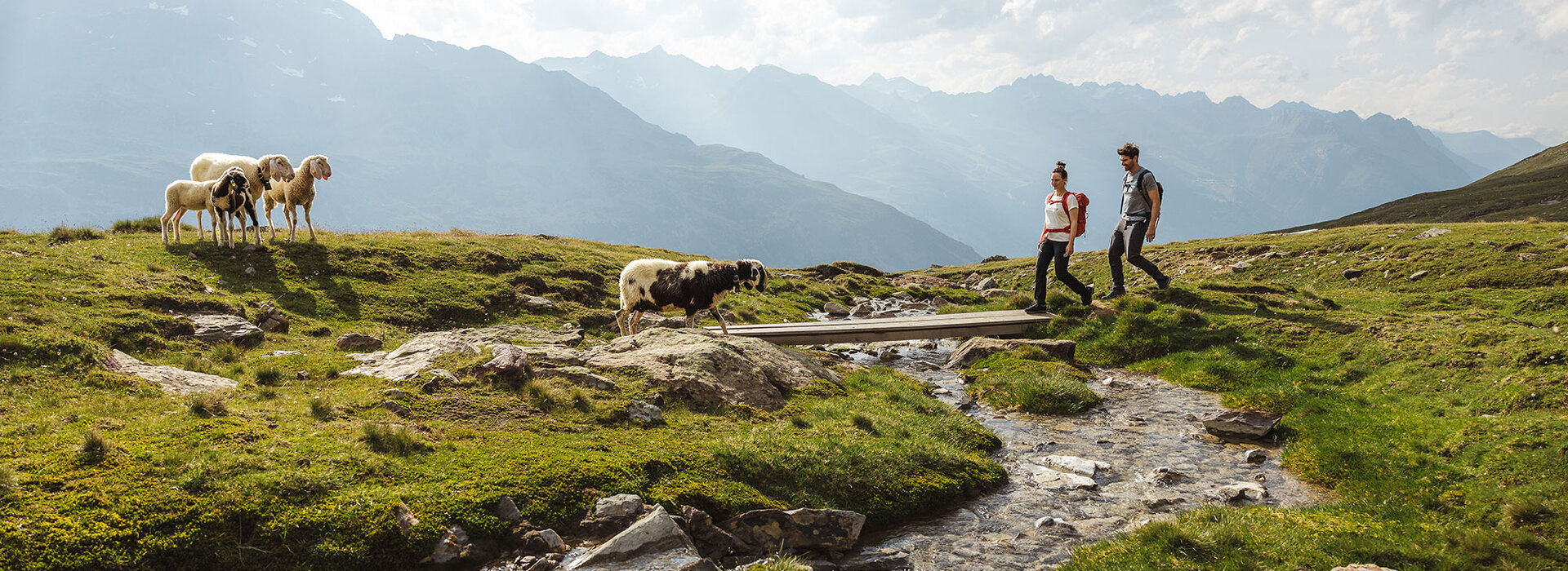 Zwei Personen gehen über eine kleine Holzbrücke über einen Bach auf einer Bergwiese. In der Nähe weidet eine Gruppe von Schafen unter einem teilweise bewölkten Himmel und einer entfernten Bergkette.